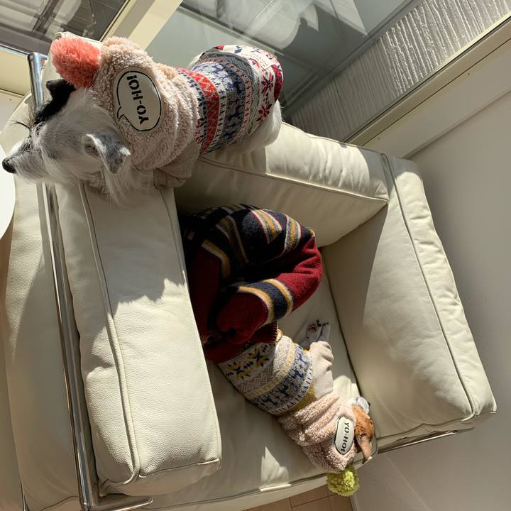 74d4955b 3055 4daf 9729 89f428db62cf 1576814194463