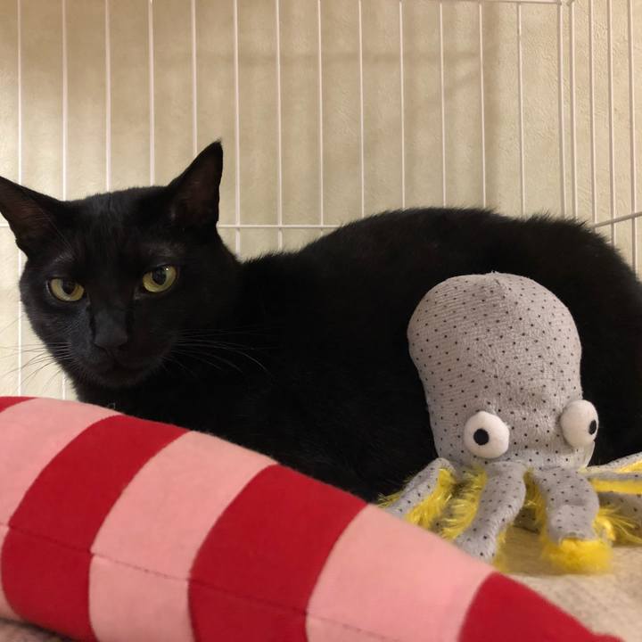 74d495b1 1900 4d29 8f37 6b792a0ba9f0 1541599857033