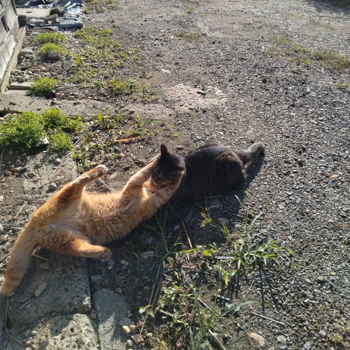 74d4a2be 4ed6 4023 82a9 d28aaa880ff9 1695509857752