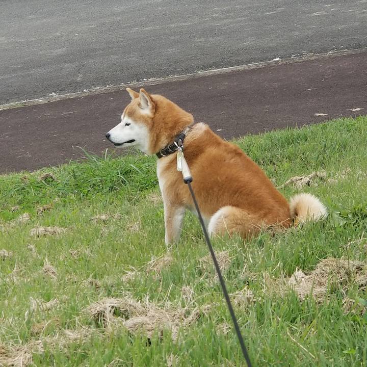 74d4b523 644c 47f2 9056 9f065445f210 1665637382404