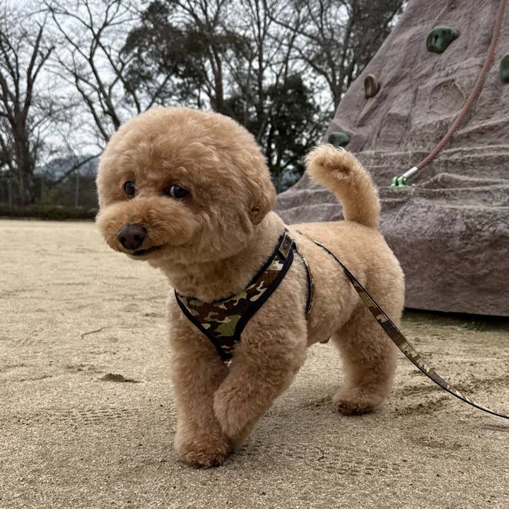 74d4c9d8 670d 40bd 88dd 31d707f3d5c4 1772147513061