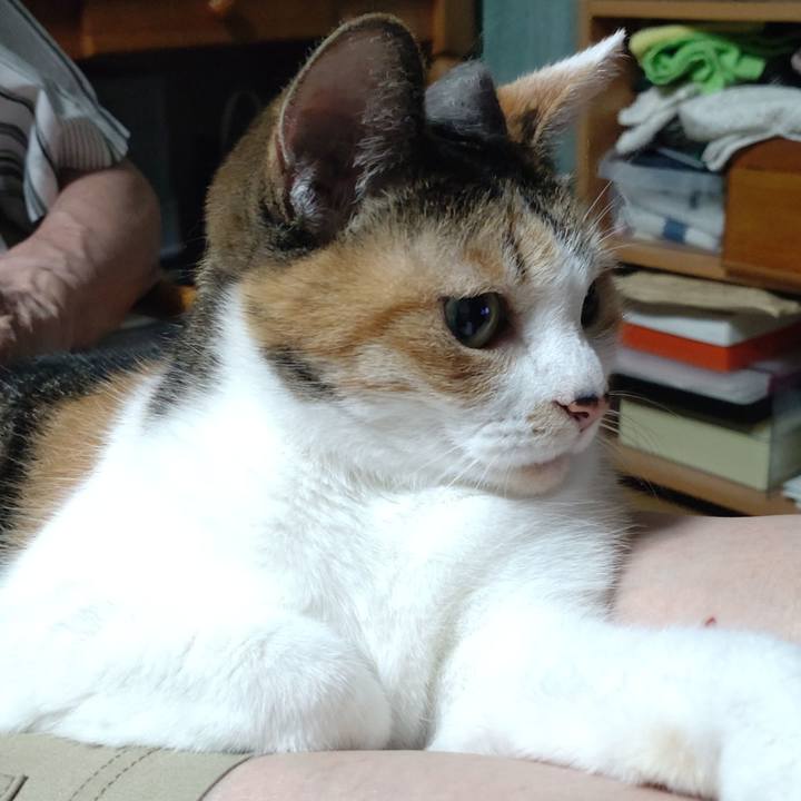 74d4fe80 9f31 4795 b4c9 8622002be2d5 1690373034384