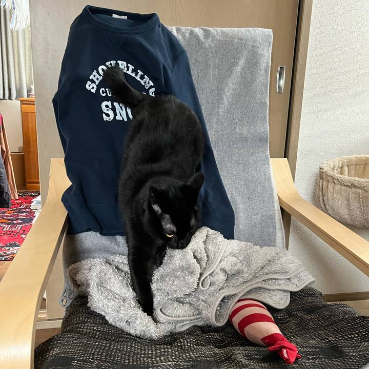 74d52af6 fffc 4b2e b2ff 9281b56e544d 1682126856488