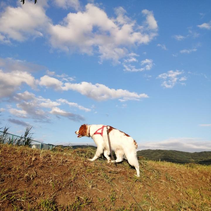 74d534f3 0f09 4157 ab49 76f37b5ff081 1568632698875