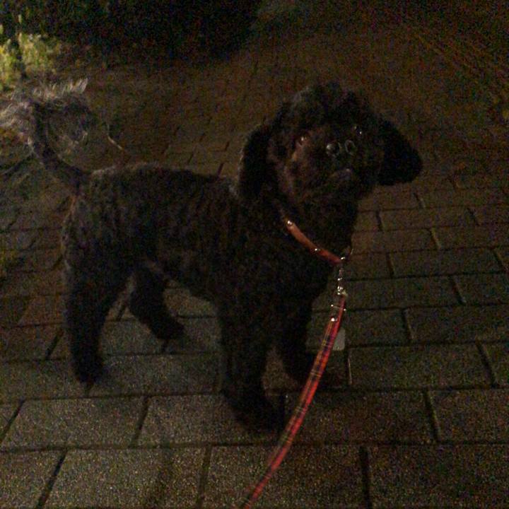 74d54331 b944 4a6e 9437 f28853fd6c9e 1568378195556