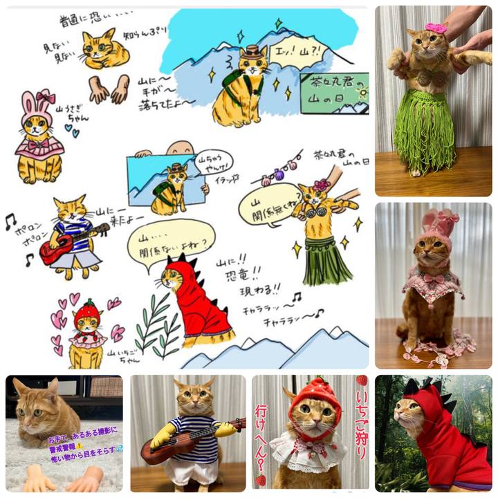 74d55492 d74d 42ad 814e 144c87233ad4 1660269389235