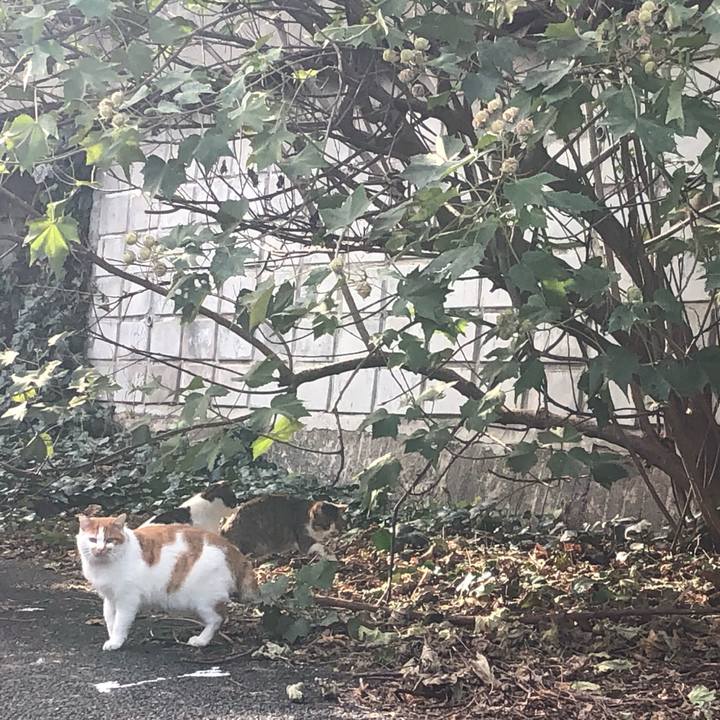 74d5926f 8d65 480c be8c 9d9b5cf256c5 1546656083105