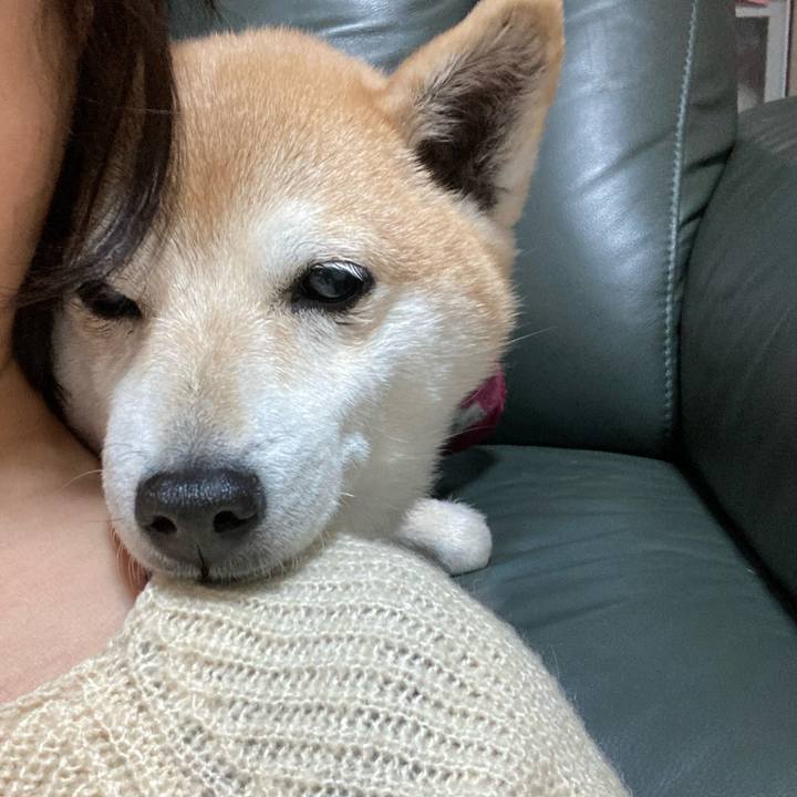 74d5ca18 eeb1 4964 aea8 5debf0dd593d 1613626909264