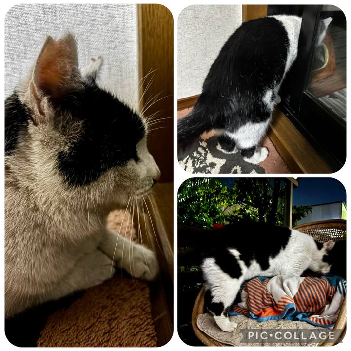 74d5e47c 8645 4622 a456 c99ef0e3ce59 1770956134645