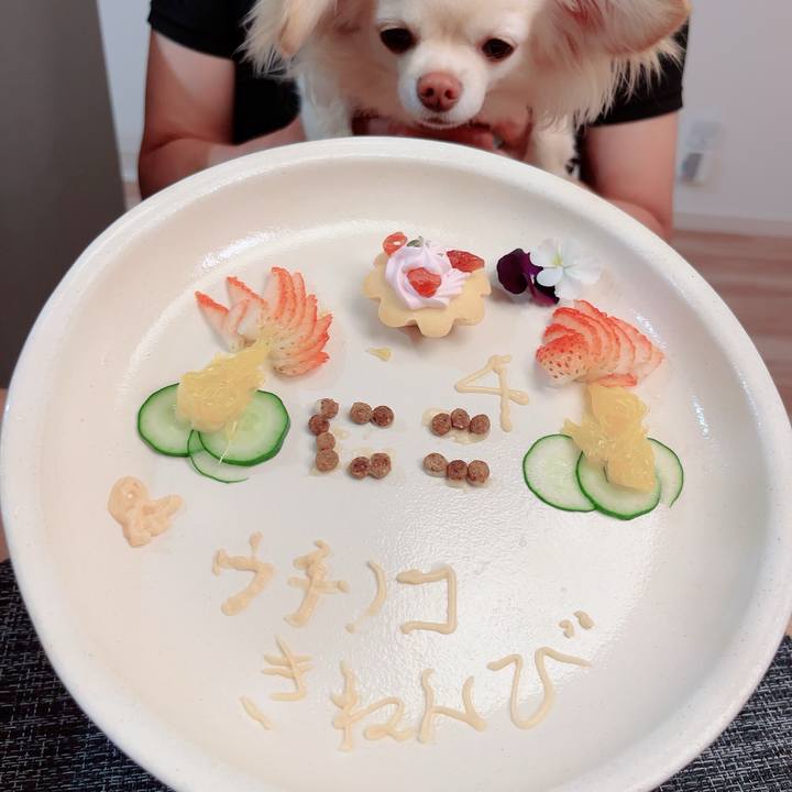 74d5ee46 bffd 479b 9760 f439d11bba08 1714996099511