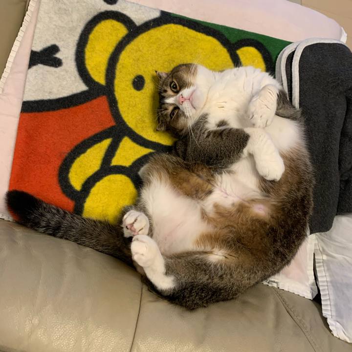 74d61192 f00b 447d 8214 7c369981ebc6 1581349387621