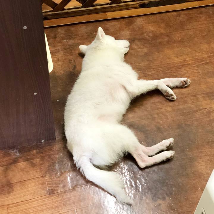 74d6274e 9be3 4965 90c9 71b6eaf86173 1588320732680