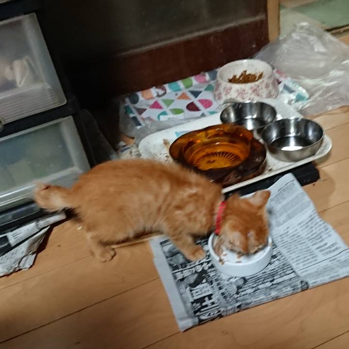 74d64fab 1b54 4e30 9565 cb4a76a1d55e 1628934203388