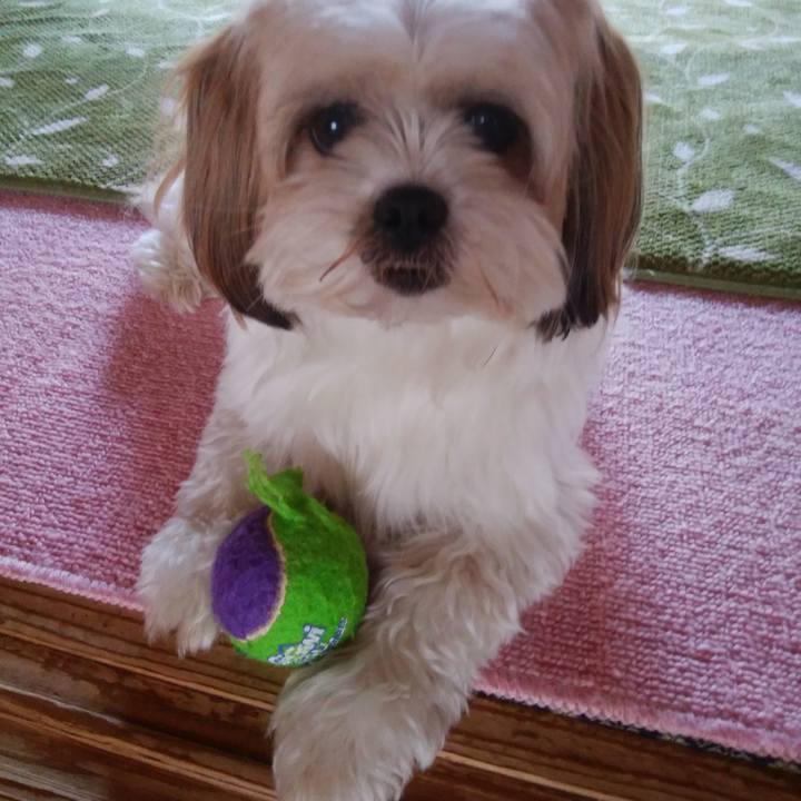 74d65ea0 77a7 4a47 abb8 866aedd1db2b 1524288035379