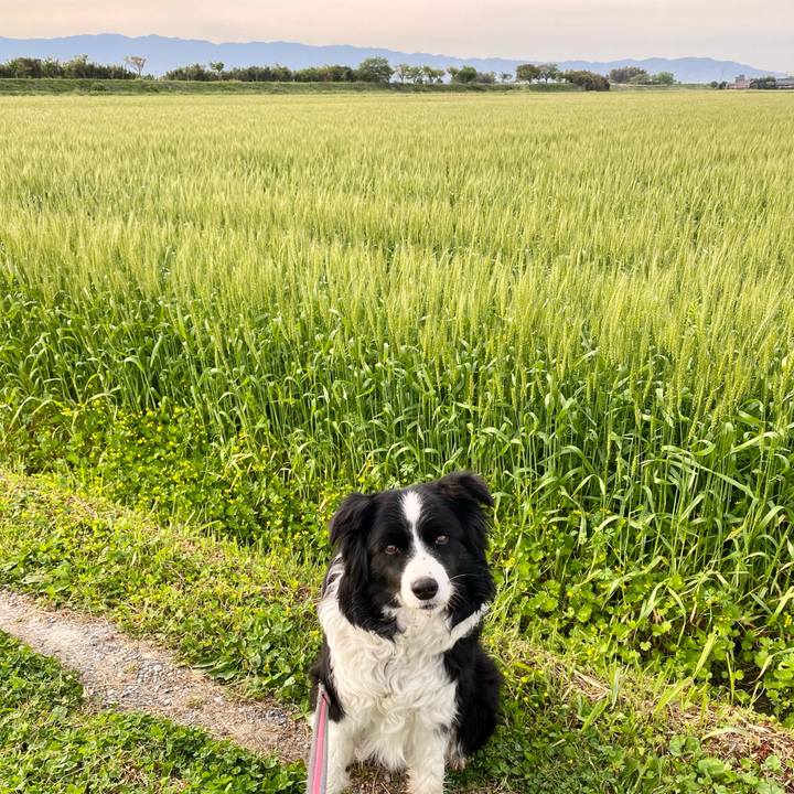 74d66424 b0ed 4676 8a39 88b599a6989b 1617837884226