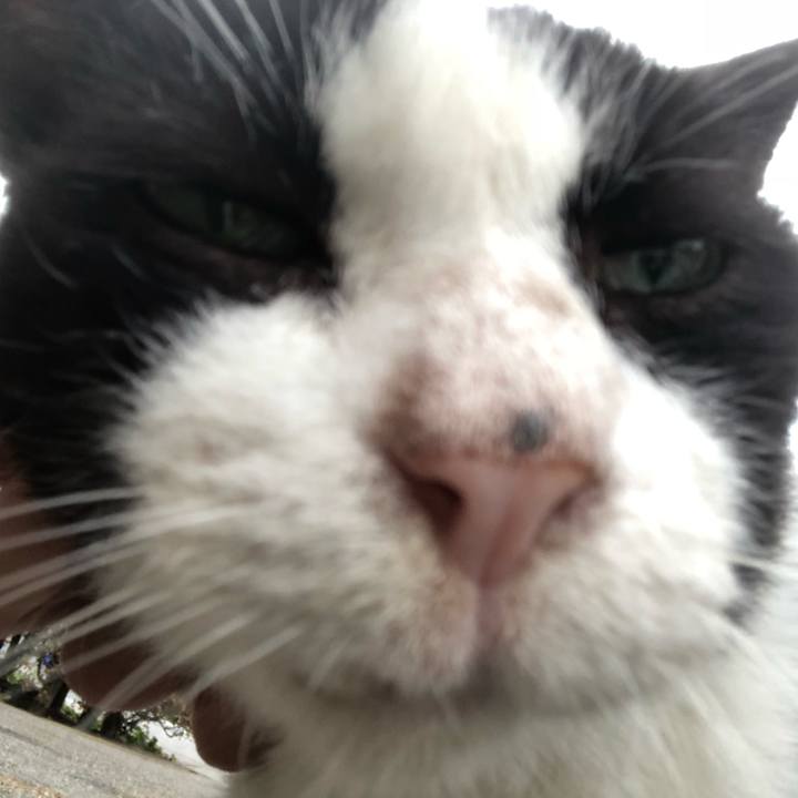 74d67a88 9212 4d00 9658 c28a2122c884 1538763598669