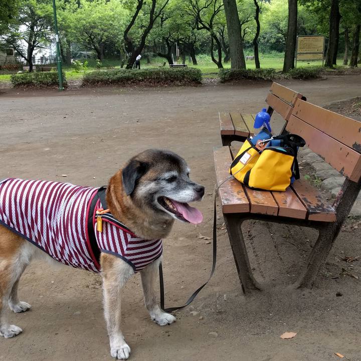 74d6bcfb ff49 436b b39e 7adfd972f026 1531954943211