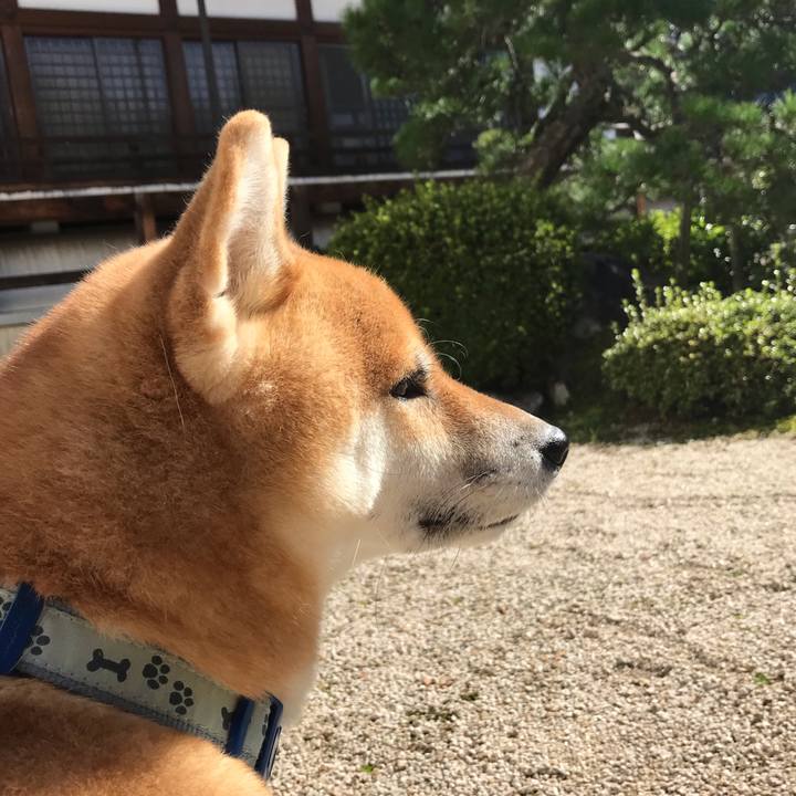 74d6c02a 2e4c 4a60 a68d 3cec6e30fae6 1603781652041