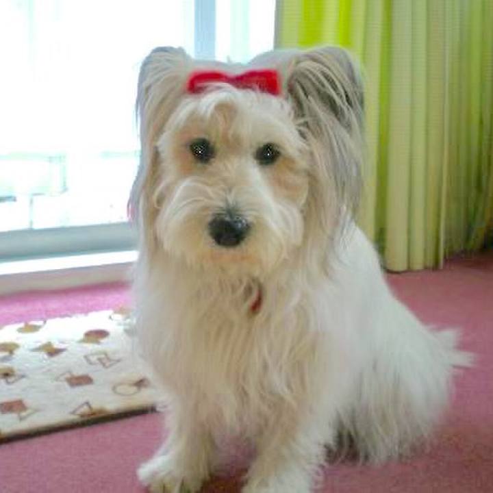 74d6dd19 612c 4a84 a60f 705a33c076f9 1558669547655