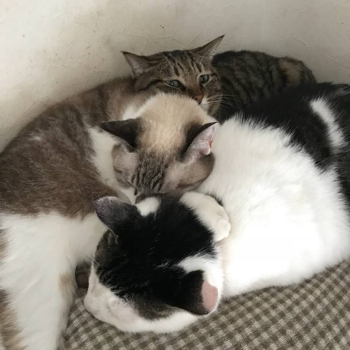 74d6de65 1a77 4004 93f4 50ac6effa12a 1536990450783