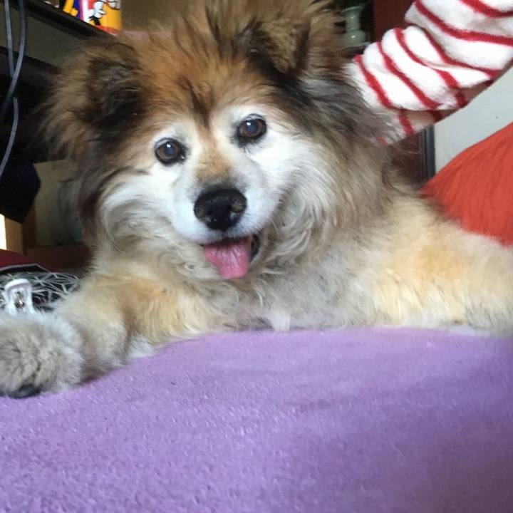 74d6df32 00a5 44d9 80b2 2192a1c2fcd6 1562461289848