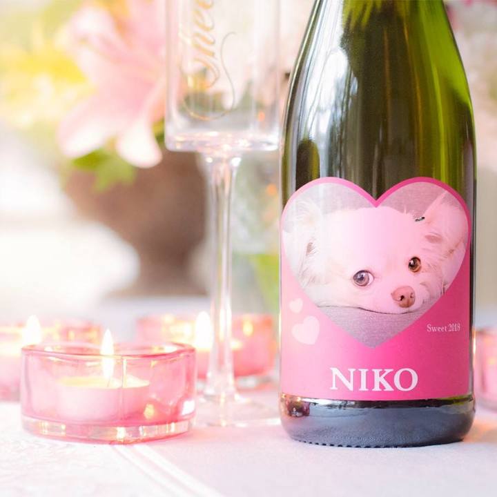 74d716a6 f328 4646 a682 1f3daee434a8 1655510744859