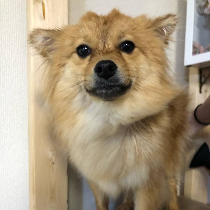 74d72316 da15 4b25 9d8e 0976121bbd39 1618621371013