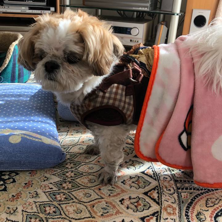 74d77608 197c 436f ad96 b9209f25763b 1548280028277