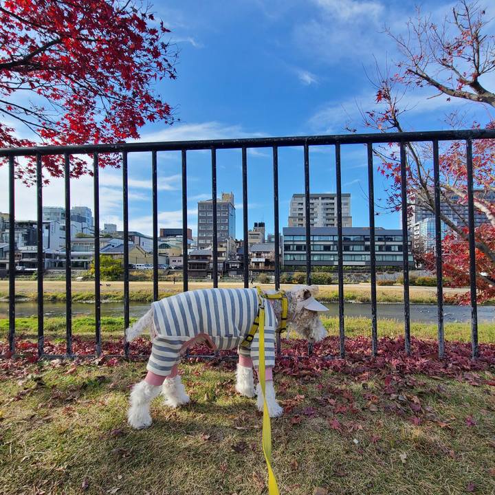 74d78bf4 4481 4b68 92b5 c1339f9912d1 1670062024336