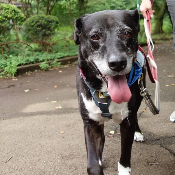 74d794e6 7a69 43b0 84b8 b74511a7d06f 1752621243832