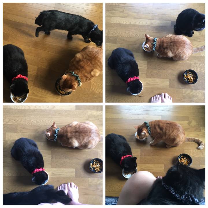 74d7d47f 8221 461a add7 4bf06122cc02 1537742305914