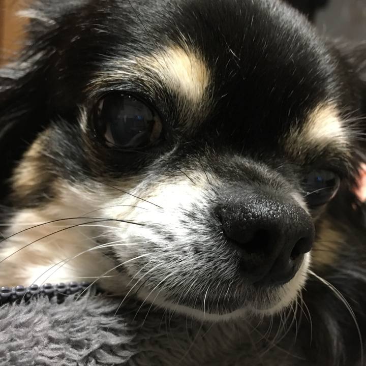 74d834f3 5e81 46d0 9d59 d9841a3a8ca0 1508568036051