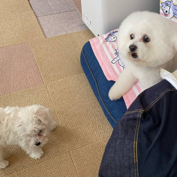 74d85781 9d6e 4a2c 8b25 2092940746ea 1740459667833