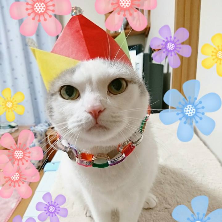 74d858bb 5d5b 435a b3b4 55354c0872d1 1508755941465