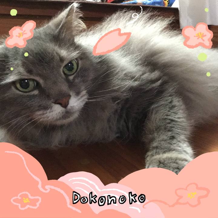 74d864a9 d691 43f2 a1a7 35b4cbd50fb2 1775311741136