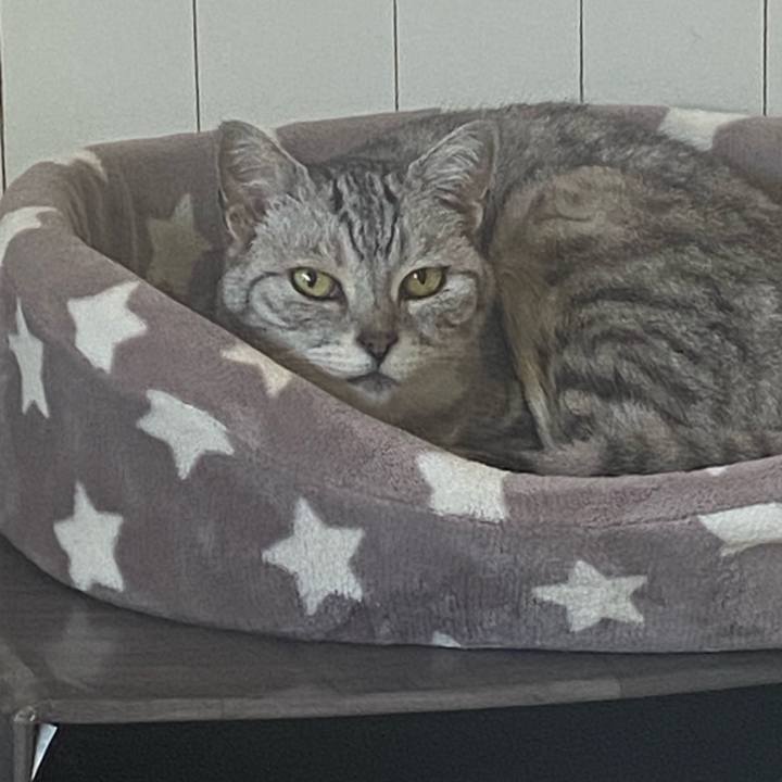 74d8a40a d938 4486 af98 59a8ab696d7c 1746335147434