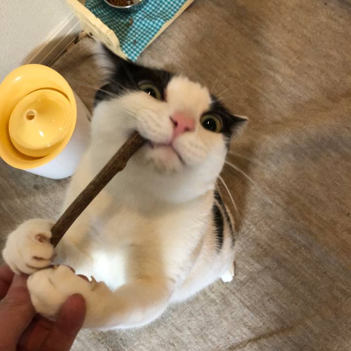 74d8b7a6 8001 4c8c a6ba b26822019fc4 1516016791778