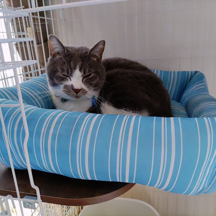 74d8f716 adb8 4c87 b465 1659db75c8f0 1678771438523