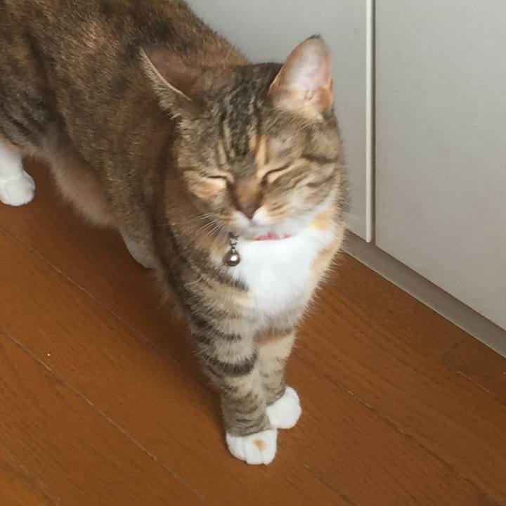 74d93aca ca8a 4bd6 9735 8c8d8965dc50 1556680261777