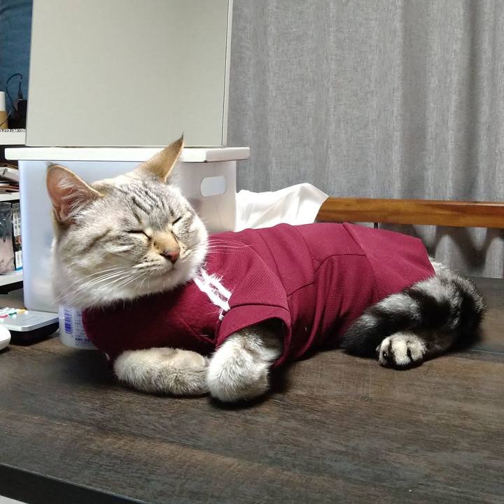 74d94348 a4a5 4cb1 aae8 9bd58fc0673b 1688398934497