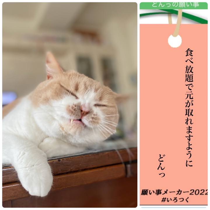 74d951ab 807e 434b a7f2 91e125634d20 1657157689850