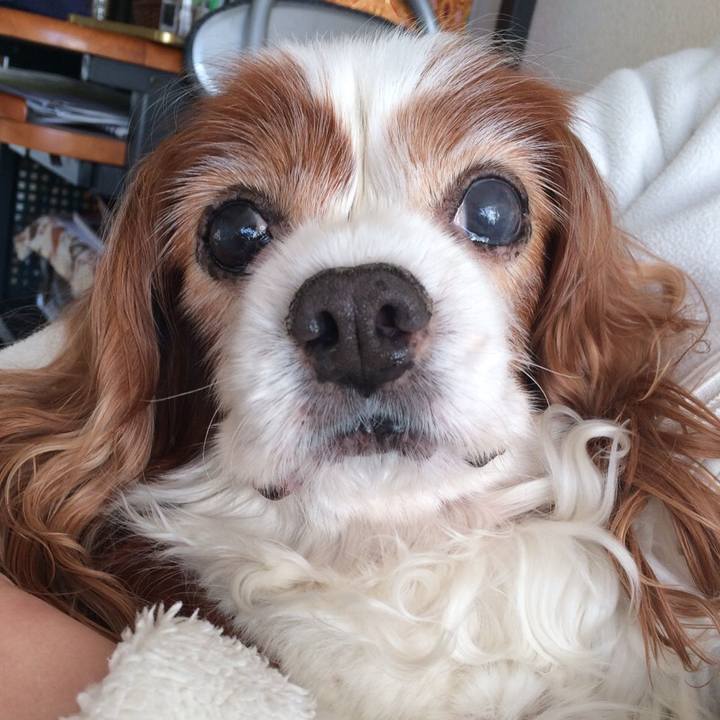 74d9a1ef 766c 49f0 bff3 d72e7d6beeea 1573572033902