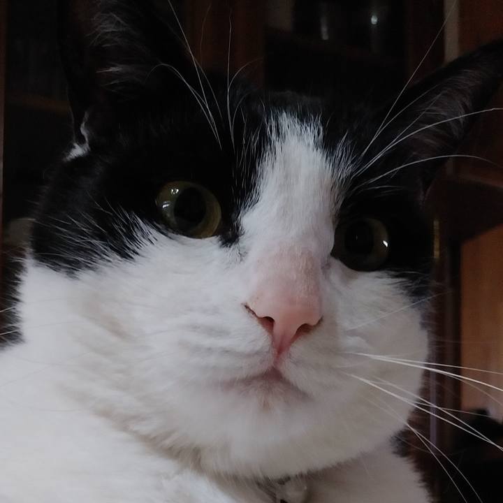 74d9a7af 4863 412c 880a 60574c619cdf 1589075603364