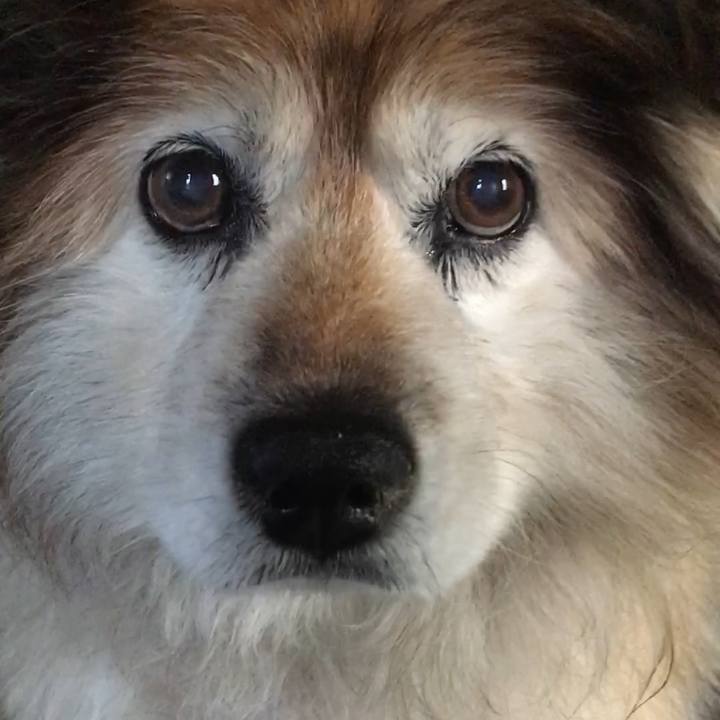 74d9ade8 e943 43c0 b0a4 8395ab7e6290 1570867417433