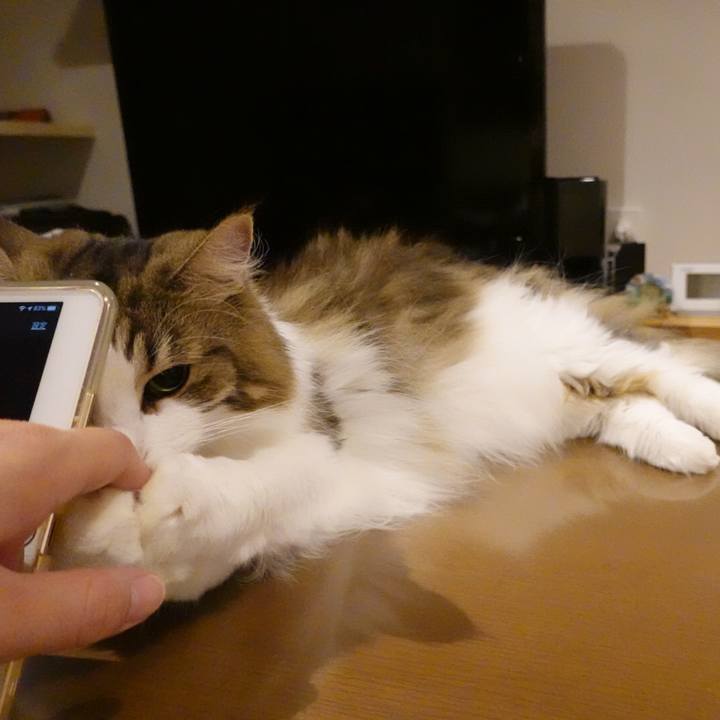 74d9c0dd c49a 4e55 aca0 2e3d749d5831 1598709173004