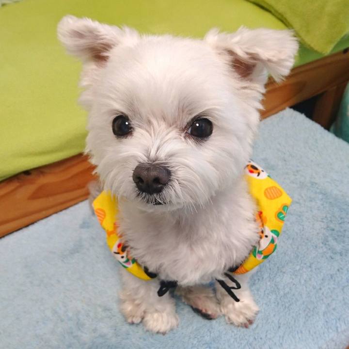 74d9c316 dd83 4a37 9051 0c6dc2051646 1512970612196