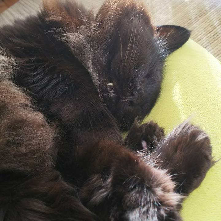 74d9d8ce f6a2 42e3 8cd8 f88df3ef018b 1550446830881