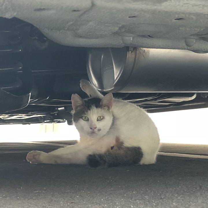 74d9e563 fcc3 455e b830 8355a0664700 1534092357842