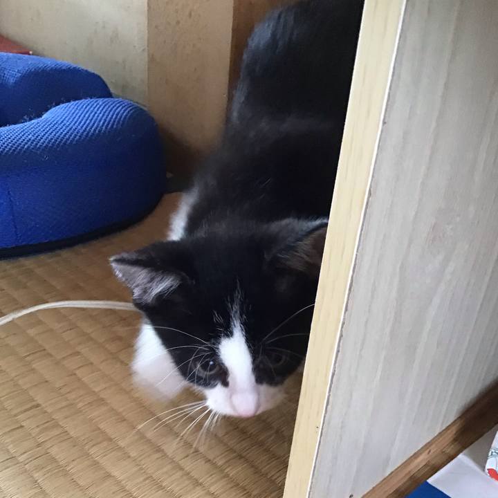 74d9eafa c8b2 45a1 a5b0 8aed4e3ae713 1624687804873