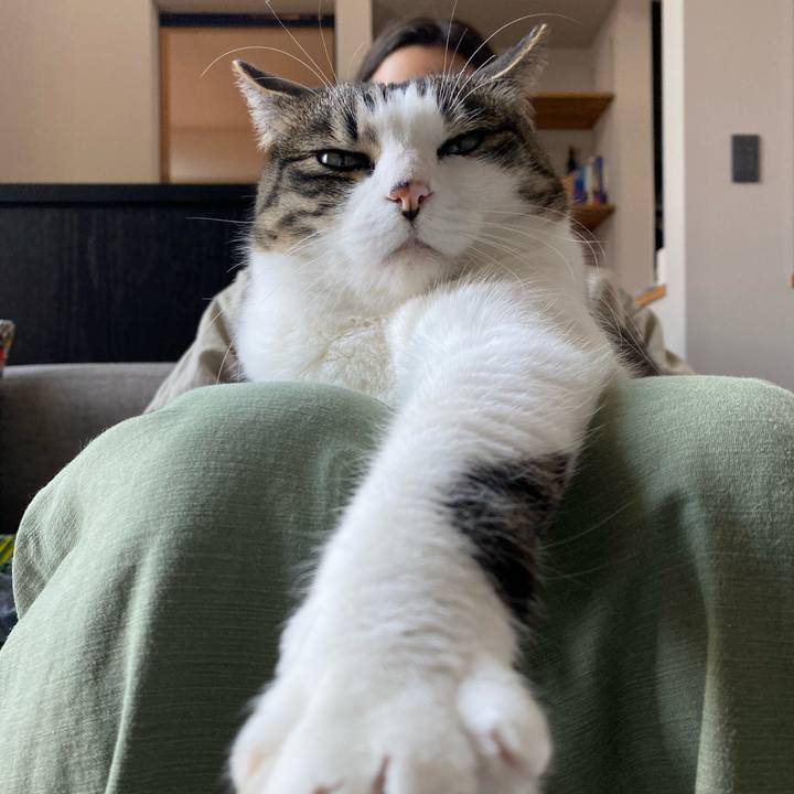 74d9f74b d342 4f67 a097 2d2c03c934c8 1717205285498